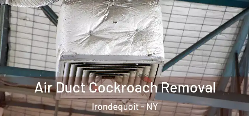 Air Duct Cockroach Removal Irondequoit - NY