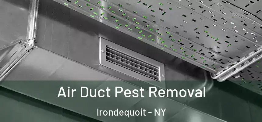 Air Duct Pest Removal Irondequoit - NY
