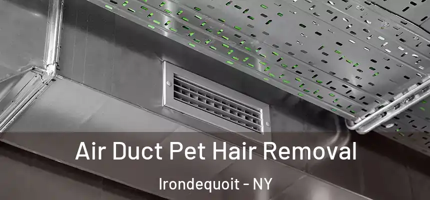  Air Duct Pet Hair Removal Irondequoit - NY