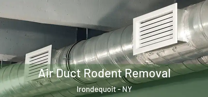  Air Duct Rodent Removal Irondequoit - NY