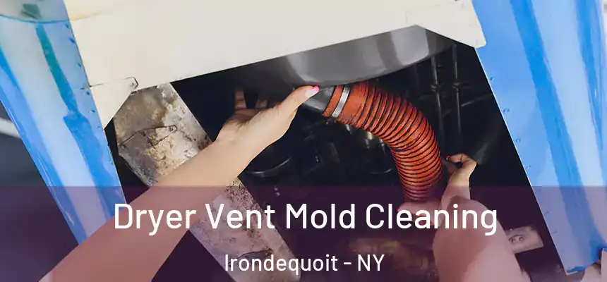 Dryer Vent Mold Cleaning Irondequoit - NY