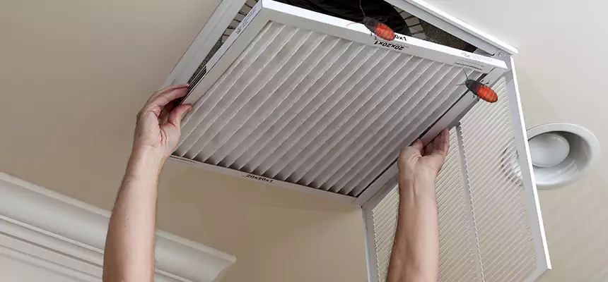 Our Insect Removal from Air Ducts Services in Irondequoit, NY