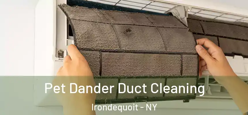 Pet Dander Duct Cleaning Irondequoit - NY