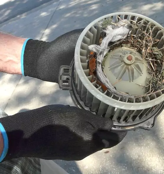 About Air Duct Mice Removal in Irondequoit, NY