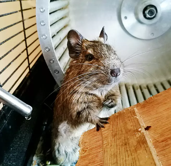 Why Homeowners & Businesses Trust Us Irondequoit, NY